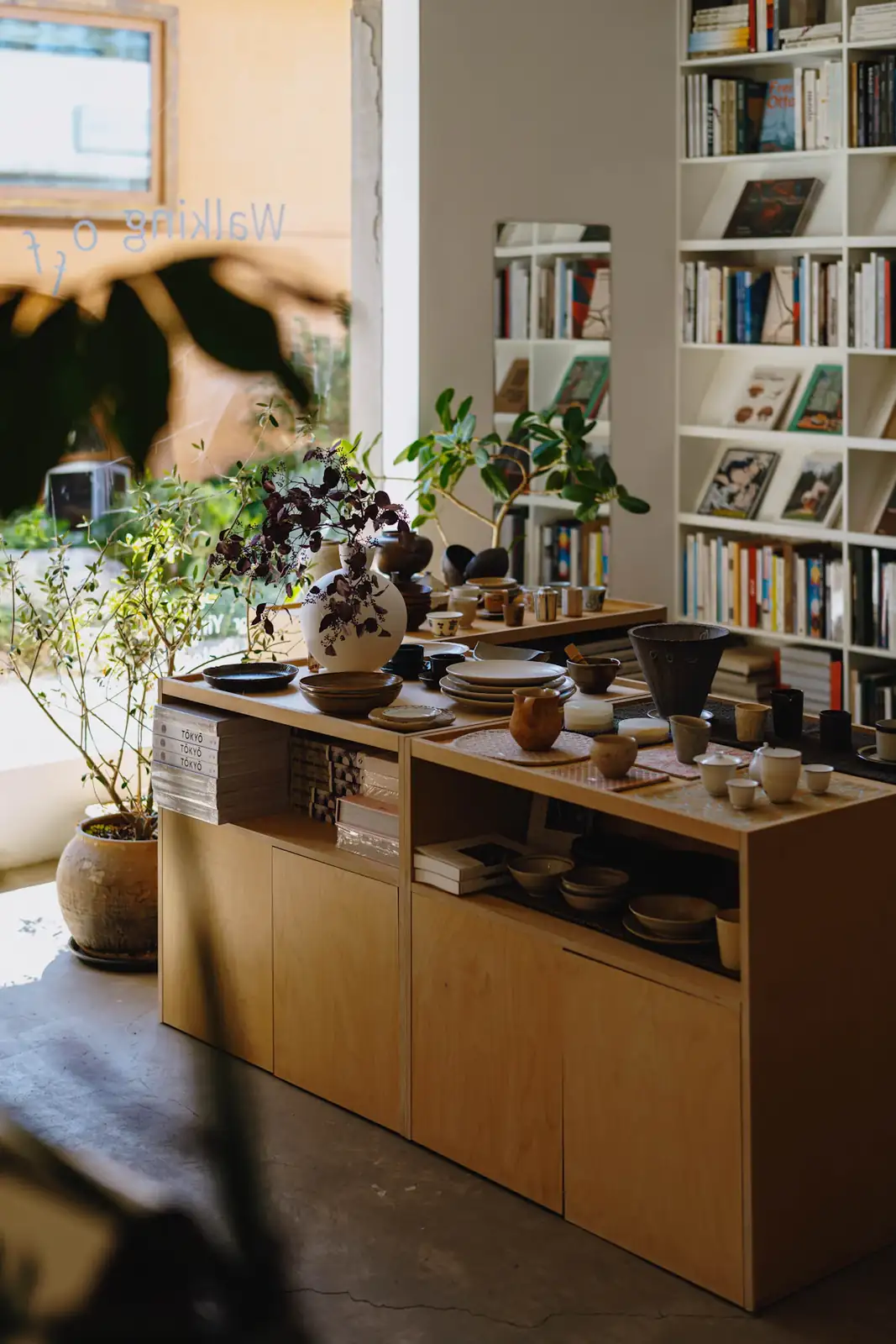 Comptoir de la boutique avec plantes et céramiques