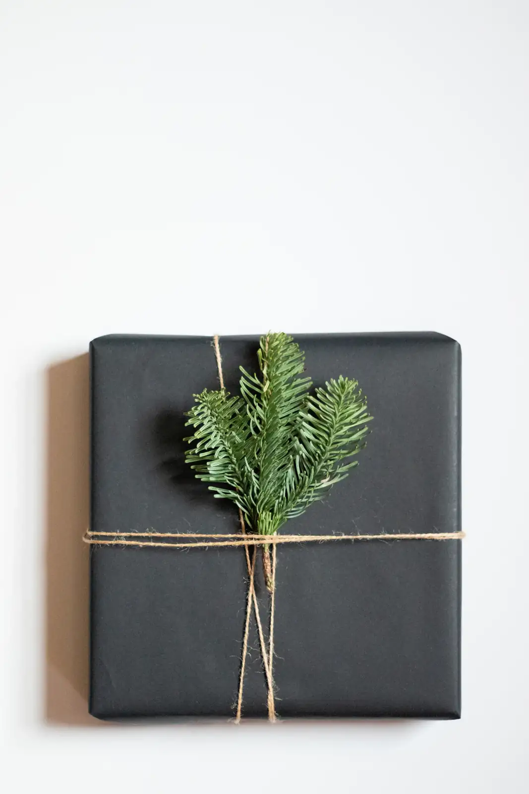 Paquet cadeau et branche de sapin