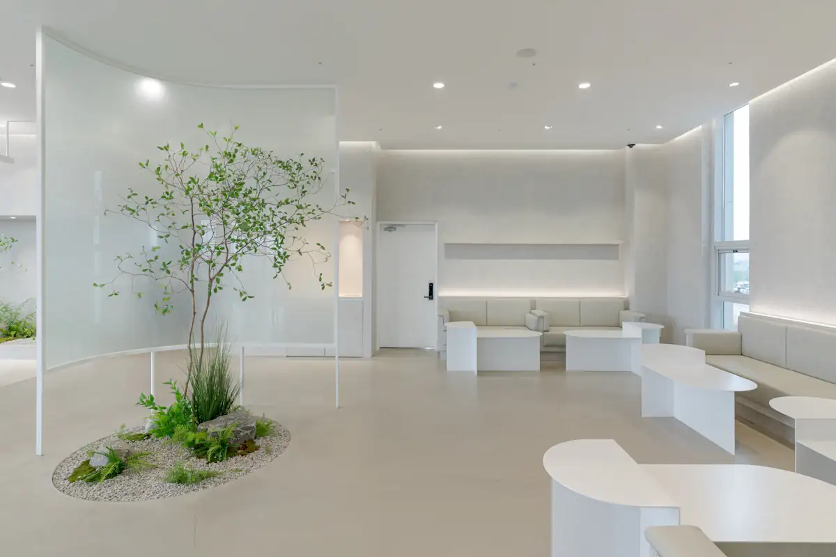 Salle d’attente lumineuse avec un arbre