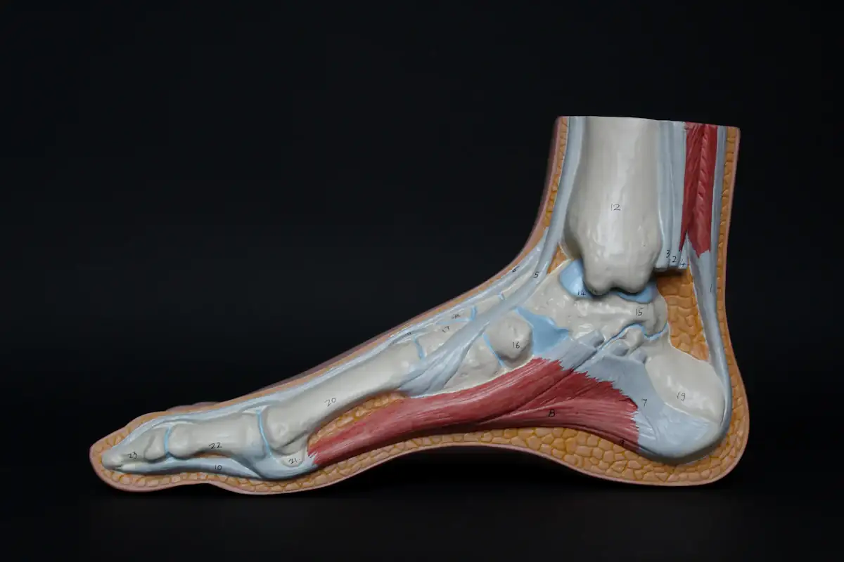 Semelles orthopédiques