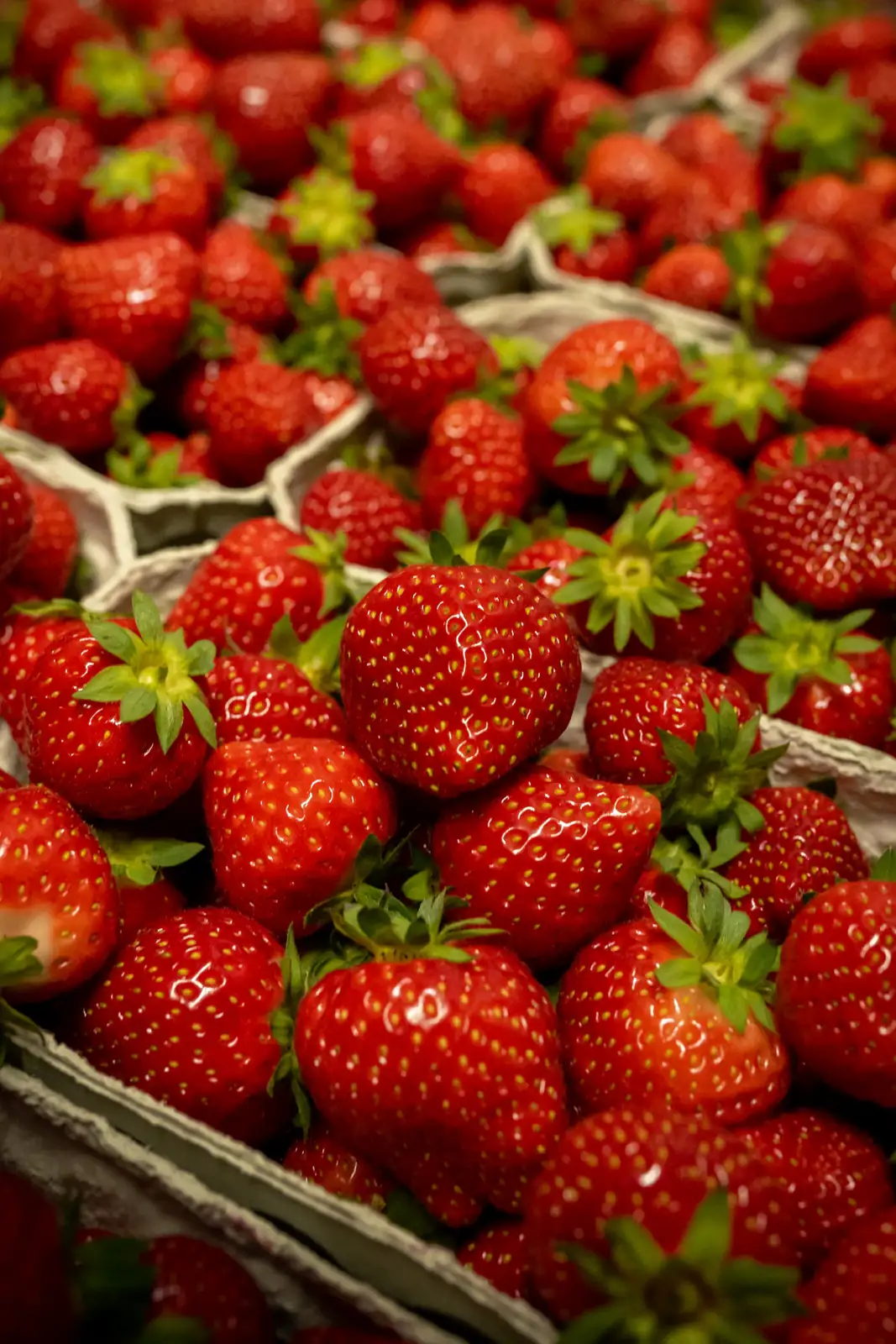 Fraises